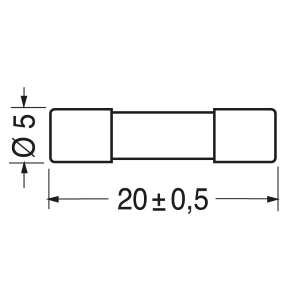 FUSIBILE 5x20mm 315mA 0,315A RAPIDO Confezione 10pz